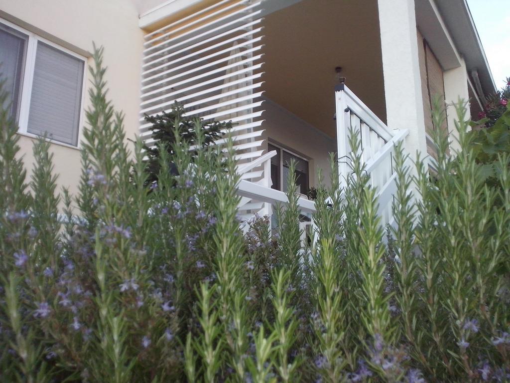Kuca Za Odmor Laura Apartment Razanac Bagian luar foto